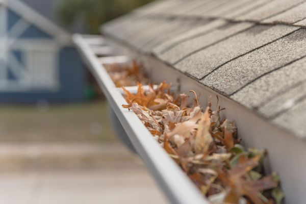 Leaf Barrier Installation in Sun City West